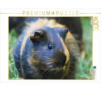 CALVENDO Puzzle Guinea Pig Leaf | 1000 pieces, finished size 25.2 × 18.9 in (64