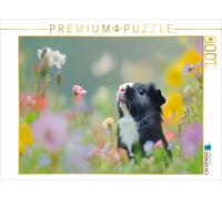 CALVENDO Puzzle Guinea pigs: Fluffy with character | 1000 pieces, finished size
