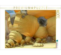 CALVENDO Puzzle Habitations de Type Cocon sur Zeta Draconis 1000 Pieces 64 x 48 cm from André Bujara