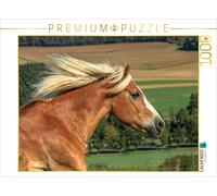 CALVENDO Puzzle Haflinger at a gallop | 1000 pieces, finished size 25.2 × 18.9 i