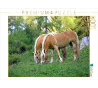 CALVENDO Puzzle Haflinger au pâturage 1000 Pieces 64 x 48 cm from Heinz Schmidbauer