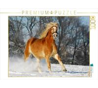 CALVENDO Puzzle Haflinger dans la Neige 1000 Pieces 64 x 48 cm from Sista-Tierfoto