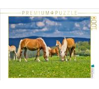 CALVENDO Puzzle Haflinger Groupe Tout en profitant de l'air Frais | 1000 pièces Taille de la Pose 64 x 48 cm Puzzle Photo pour des Heures heureuses