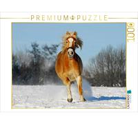 CALVENDO Puzzle Haflinger in the snow | 1000 pieces, finished size 25.2 × 18.9 i