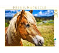 CALVENDO Puzzle Haflinger mare | 1000 pieces, finished size 25.2 × 18.9 in (64 ×