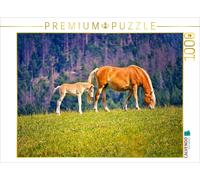 Puzzle · Jument Haflinger avec Son Poulain | Au pâturage · 1000 pièces · Format assemblé 64 × 48 cm · CALVENDO Puzzle