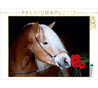CALVENDO Puzzle Haflingerhengst mit Blume 1000 Teile Puzzle quer 1000 Pieces 64 x 48 cm from Nicole Bölle