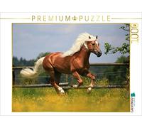 CALVENDO Puzzle Haflinger stallion - World Reserve Champion | 1000 pieces, finis