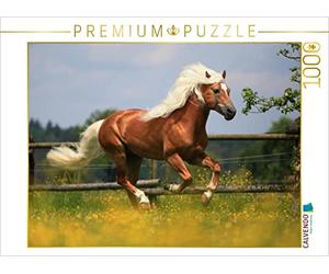 CALVENDO Puzzle Haflingerhengst - Weltreservesieger 1000 Teile Puzzle quer 1000 Pieces 64 x 48 cm from Nicole Bölle