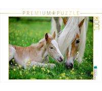 CALVENDO Puzzle Haflingerstute mit Fohlen 1000 Teile Puzzle quer 1000 Pieces 64 x 48 cm from Nicole Bölle