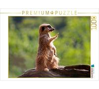 CALVENDO Puzzle Halt Stop - ich habe Alles im Blick! 1000 Teile Puzzle quer 1000 Pieces 64 x 48 cm from Barbara Mielewczyk