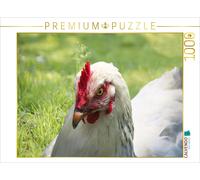 CALVENDO Puzzle Happy free range chickens | 1000 pieces, finished size 25.2 × 18