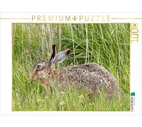 CALVENDO Puzzle Hare on a meadow (brown hare) | 1000 pieces, finished size 25.2