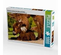 CALVENDO Puzzle Harmonie Entre la Jument ânesse et Son Poulain 1000 Pieces 64 x 48 cm from Meike Bölts