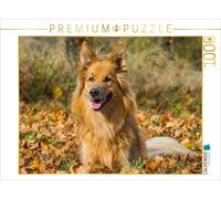 CALVENDO Puzzle Harzer Fuchs im Herbst | 1000 Teile Lege-Größe 64x48cm Foto-Puzz