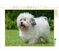 Puzzle CALVENDO Le Bichon havanais - Un cœur sur quatre pattes | 1000 pièces, fo