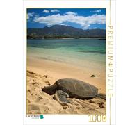 CALVENDO Puzzle Hawaiian Green Sea Turtle - Oahu | 1000 pieces, finished size 25