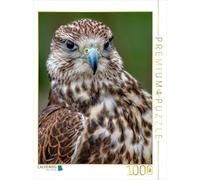 CALVENDO Puzzle Hawk 1000 Pieces 48 x 64 cm from Peter Roder