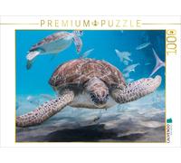 CALVENDO Puzzle Hawksbill Turtle - Caribbean / Curaçao | 1000 pieces, finished s