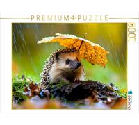 CALVENDO Puzzle Hedgehog | 1000 pieces, finished size 25.2 × 18.9 in (64 × 48 cm