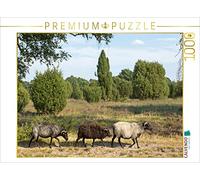CALVENDO Puzzle Heidschnucken sur la Route 1000 Pieces 64 x 48 cm from Siegfried Kuttig