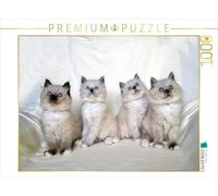 CALVENDO Puzzle Heilige Birma Katzen 1000 Teile Puzzle quer 1000 Pieces 64 x 48 cm from Jennifer Chrystal