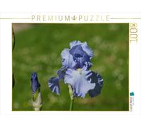 CALVENDO Puzzle Hellblaue Lilien 1000 Teile Puzzle quer 1000 Pieces 64 x 48 cm from Kattobello
