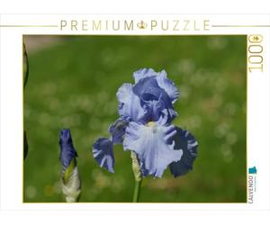 CALVENDO Puzzle Hellblaue Lilien 1000 Teile Puzzle quer 1000 Pieces 64 x 48 cm from Kattobello