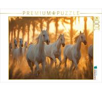 CALVENDO Puzzle Herd of white horses | 1000 pieces, finished size 25.2 × 18.9 in