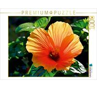 CALVENDO Puzzle Hibiscus 1000 Pieces 64 x 48 cm from Gabriele Masalowicz