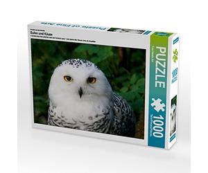 CALVENDO Puzzle hiboux et bizarreries 1000 Pieces 64 x 48 cm from Angelika Kimmig