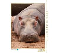 CALVENDO Puzzle Hippo 1000 Pieces 48 x 64 cm from Thula