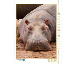 CALVENDO Puzzle Hippo 1000 Pieces 48 x 64 cm from Thula