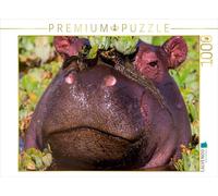 CALVENDO Puzzle Hippo 1000 Pieces 64 x 48 cm from Ingo Gerlach