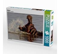CALVENDO Puzzle Hippo 1000 Pieces 64 x 48 cm from Kirsten Karius