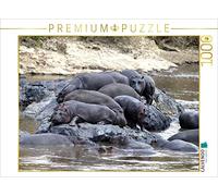 CALVENDO Puzzle Hippopotames - reposoir Rocheux 1000 Pieces 64 x 48 cm from Michael Herzog