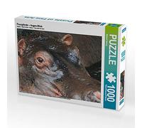 CALVENDO Puzzle Hippopotamus - Regard des Yeux 1000 Pieces 64 x 48 cm from Michael Herzog