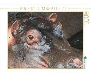 CALVENDO Puzzle Hippopotamus - Regard des Yeux 1000 Pieces 64 x 48 cm from Michael Herzog