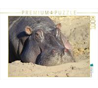 CALVENDO Puzzle Hippos - Bronzage 1000 Pieces 64 x 48 cm from Michael Herzog