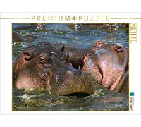 CALVENDO Puzzle Hippos - Lutte de Territoire 1000 Pieces 64 x 48 cm from Michael Herzog