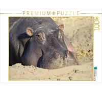 CALVENDO Puzzle Hippos - Sunbathing | 1000 pieces, finished size 25.2 × 18.9 in