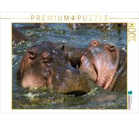 CALVENDO Puzzle Hippos - Lutte de Territoire 1000 Pieces 64 x 48 cm from Michael Herzog
