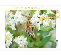 CALVENDO Puzzle L'abeille est Couverte de Pollen sur Toute sa Surface. 1000 Pieces 64 x 48 cm from CALVENDO Verlag