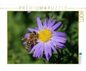 CALVENDO Puzzle Honigbiene Auf Lila Aster 1000 Teile Puzzle quer 1000 Pieces 64 x 48 cm from Kattobello