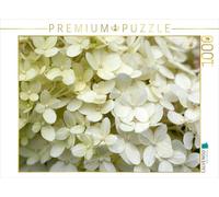 CALVENDO Puzzle Hortensia Blanche | 1000 pièces - Dimensions : 64 x 48 cm - Puzzle Photo pour des Heures de Bonheur