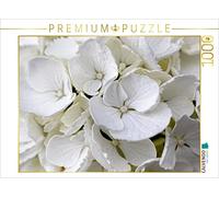 CALVENDO Puzzle Hortensia Paysan Blanc 1000 Pieces 64 x 48 cm from Martina Cross