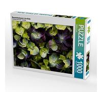 CALVENDO Puzzle Hortensia Paysan Violet-Vert 1000 Pieces 64 x 48 cm from Martina Cross