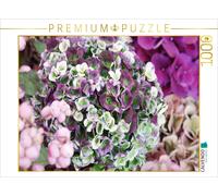 CALVENDO Puzzle Hydrangea 'Magical Revolution 1000 Pieces 64 x 48 cm from Gisela Kruse