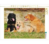 CALVENDO Puzzle Hovawart - Chiots 1000 Pieces 64 x 48 cm from Sista-Tierfoto