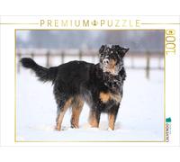 CALVENDO Puzzle Hovawart - Les plaisirs de la Neige 1000 Pieces 64 x 48 cm from Barbara Mielewczyk